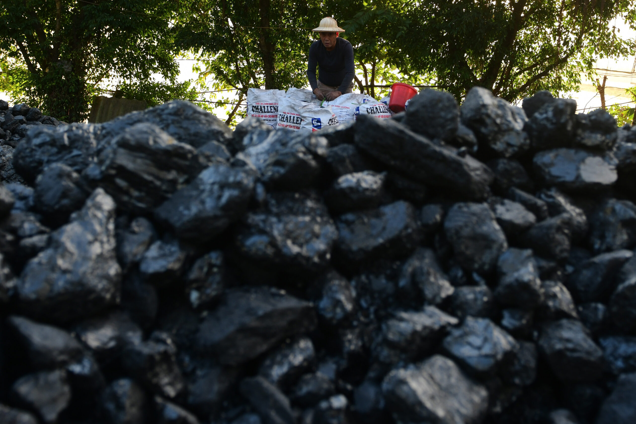 A $30 billion pledge for Vietnam and Indonesia shows pitfalls of climate finance