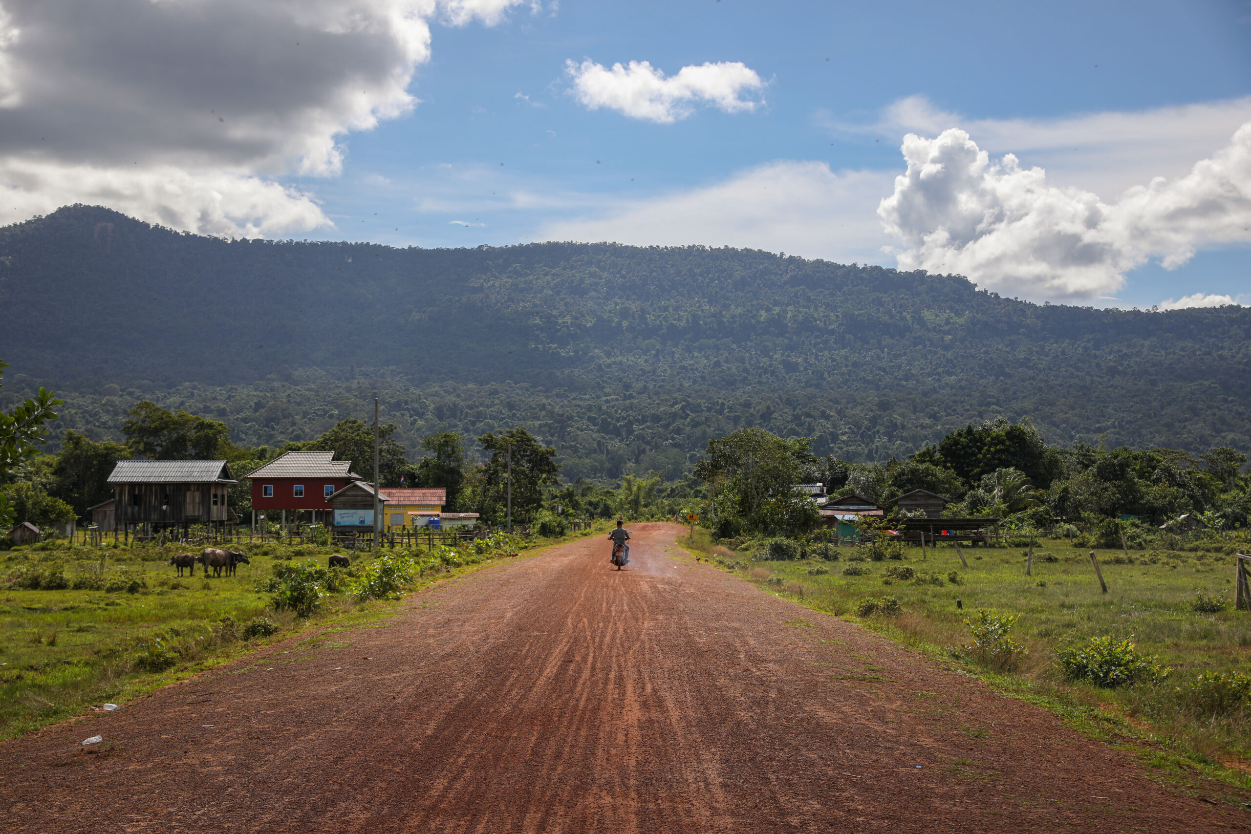 Carbon ambitions: Inside Cambodia’s REDD+ boom